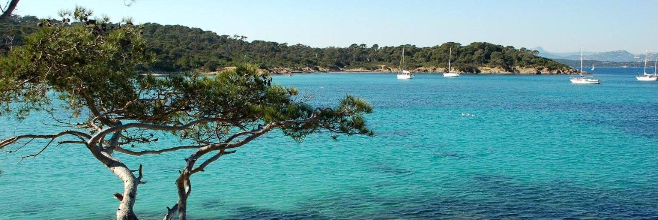 Spacieux Studio Sur Le Port De Hyères Eksteriør billede
