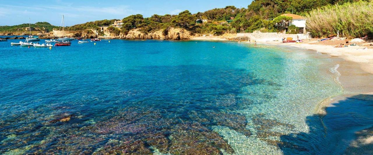 Spacieux Studio Sur Le Port De Hyères Eksteriør billede